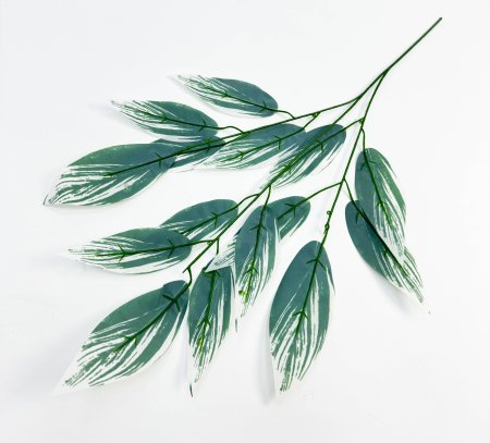 картинка Лист аглаонемы от магазина KALINA