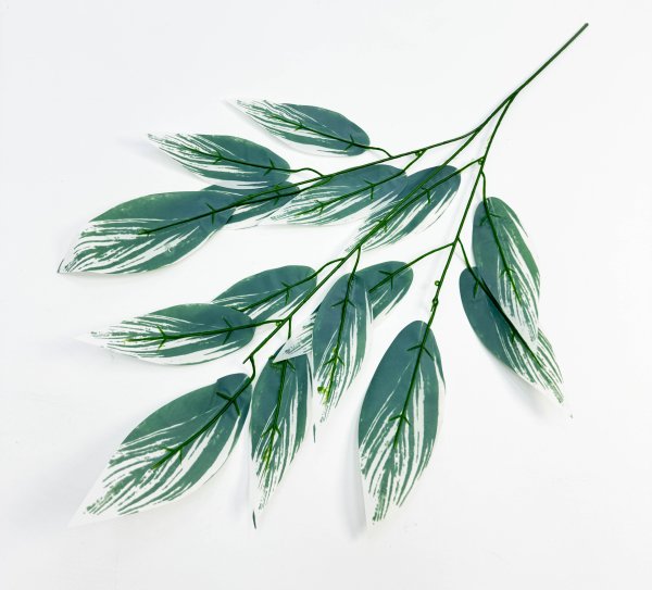 картинка Лист аглаонемы  от магазина KALINA