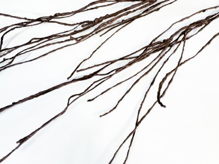 Ветка средняя темно-коричневая