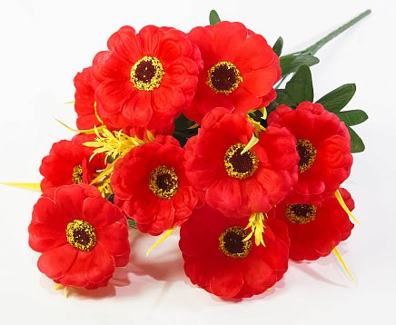 Тунбергия 12 цветков от магазина KALINA являющийся официальным дистрибьютором в России 