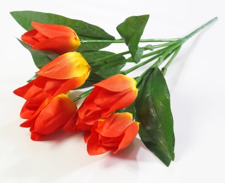 Тюльпан "Синичка" 7 цветков