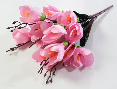 Крокус "Звездный вальс" 15 цветков от магазина KALINA являющийся официальным дистрибьютором в России 