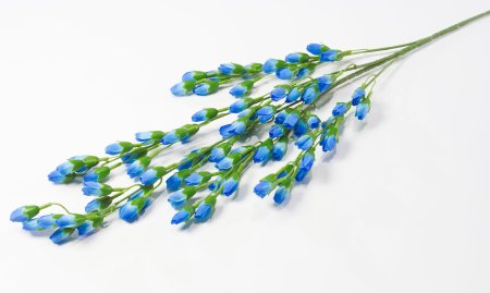 Ветка с мелкими тюльпанами