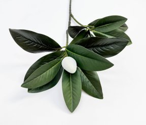 картинка Ветка магнолии с цветовой почкой от магазина KALINA