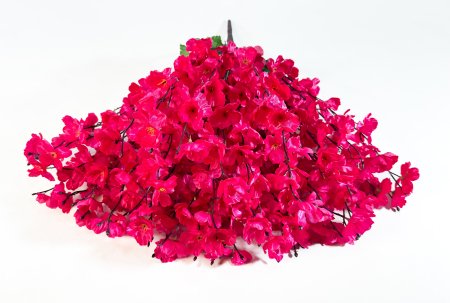 Куст сакуры 36 веток