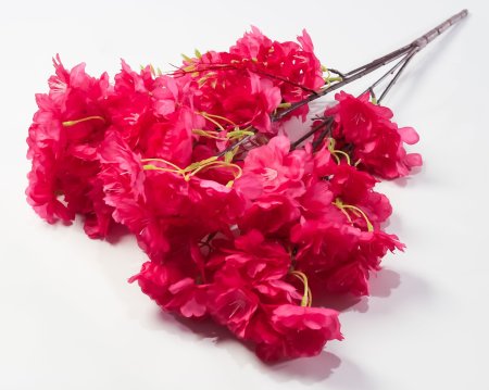 Ветка яблони 5 веток