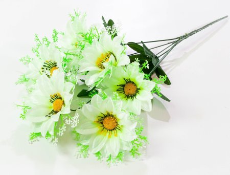 8cb869d51332ee2d95ada04cb9fb06dc