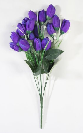 Крокус 18 цветков