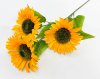 Подсолнух "Солнце в руках" 3 цветка