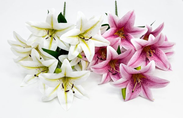 Лилия "Супер гигант" 9 цветков
