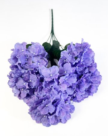 Гортензия 6 веток