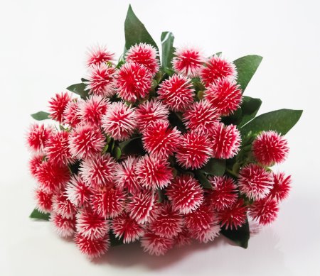 Репей садилка 5 цветков