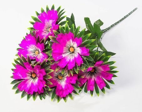 Георгин "Свирель" 6 цветков от магазина KALINA являющийся официальным дистрибьютором в России 