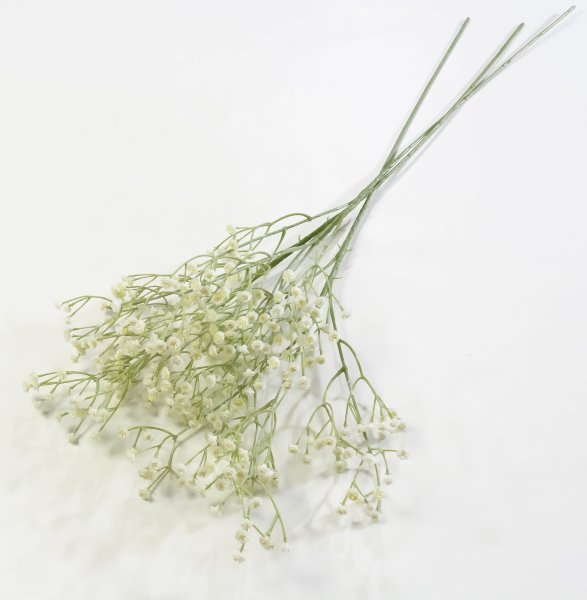 Ветка Гипсофилы