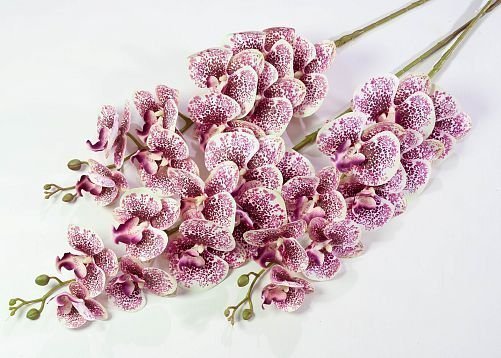 Ветка орхидеи 25 от магазина KALINA являющийся официальным дистрибьютором в России 