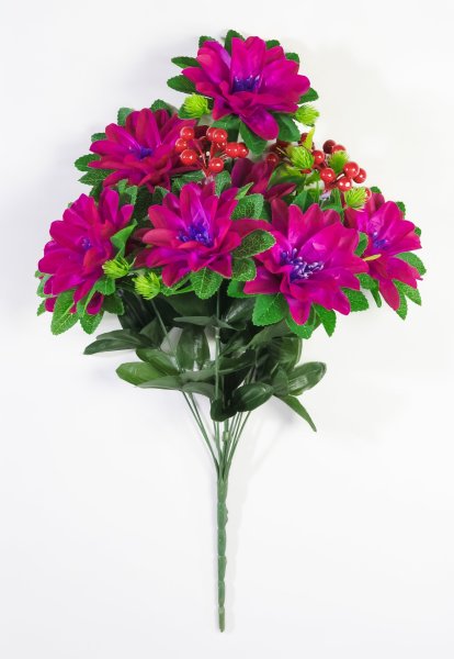 Георгин с ягодкой 8 цветков