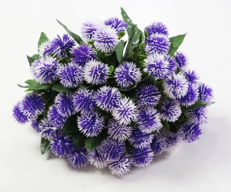 Репей садилка 5 цветков