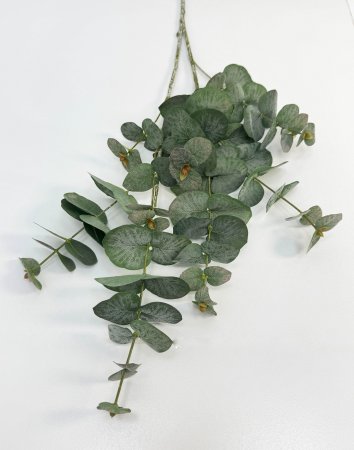 картинка Эвкалипт "Винтаж" от магазина KALINA