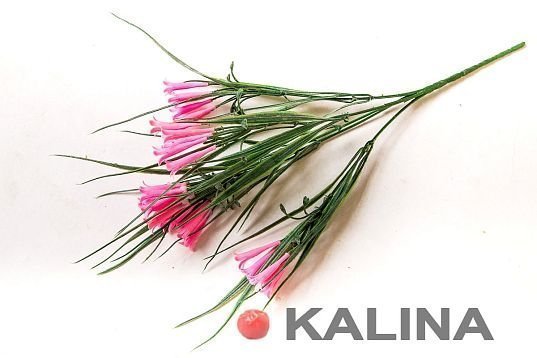 Букет колокольчика "Патина" розовый от магазина KALINA являющийся официальным дистрибьютором в России 