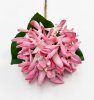 Гортензия "Кружевной шёлк" розовая