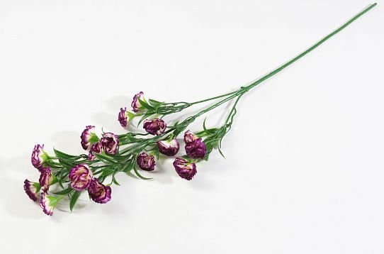 Ветка гвоздики 20 цветков Византия от магазина KALINA являющийся официальным дистрибьютором в России 