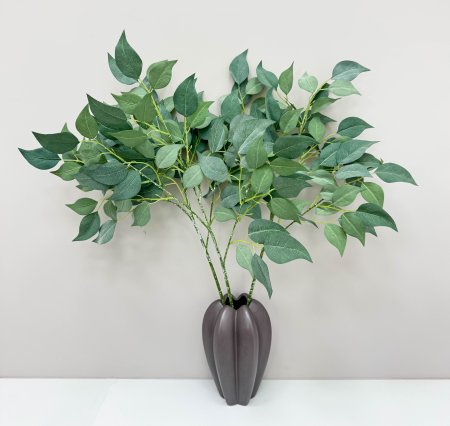 картинка Ветка фикуса "Шёпот лепестков" светло-зеленый от магазина KALINA