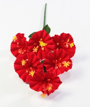 Бархатная лилия "Архат" 6 цветков