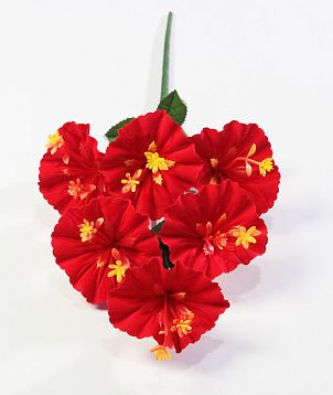 Бархатная лилия "Архат" 6 цветков от магазина KALINA являющийся официальным дистрибьютором в России 