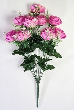 Пион "Зенит" 12 цветков от магазина KALINA являющийся официальным дистрибьютором в России 