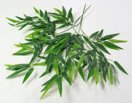 картинка Лист бамбука от магазина KALINA