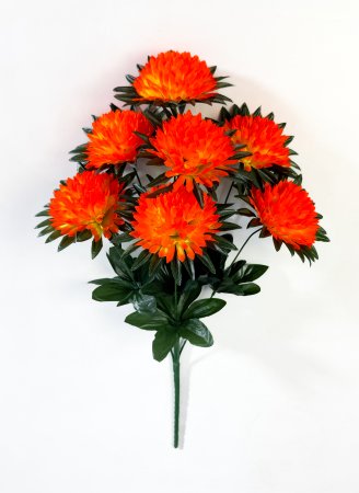 Хризантема "Патриция" 7 цветков