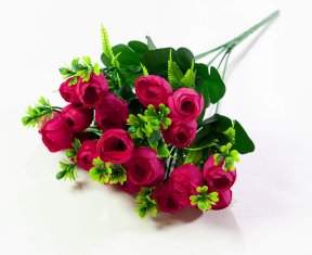 Роза Пицея 21 цветок