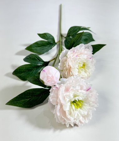 Ветка пиона Феликс Суприм светло-розовая