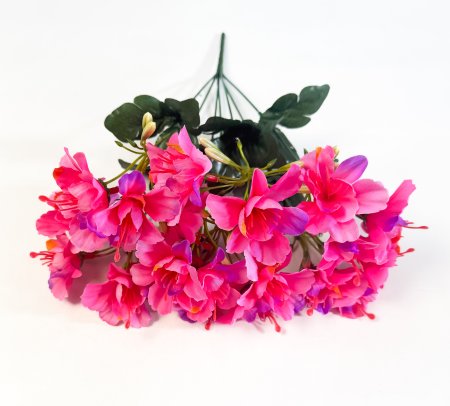 Фуксия 7 веток