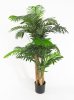 Пальма 4 ствола 160 см