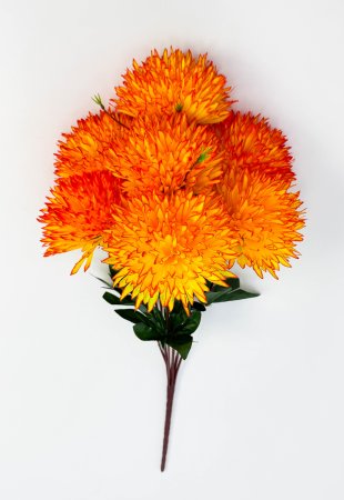 Хризантема "Дыхание юга" 7 цветков