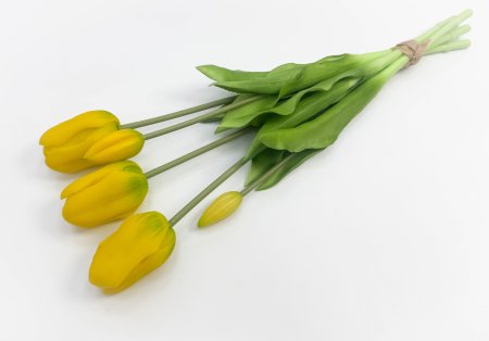 Тюльпан "Корона весны" желтый