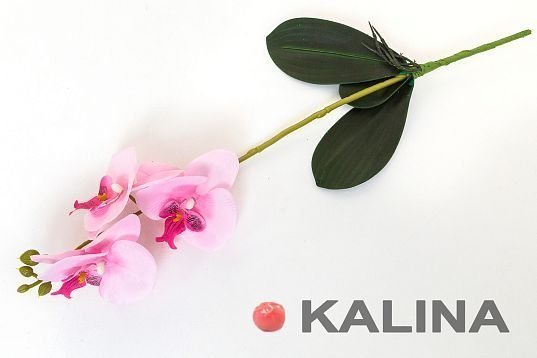 Ветка орхидеи 3 цветка от магазина KALINA являющийся официальным дистрибьютором в России 