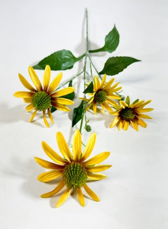 Эхинацея желтая