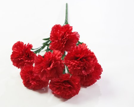 Гвоздика "Триумф" 7 цветков