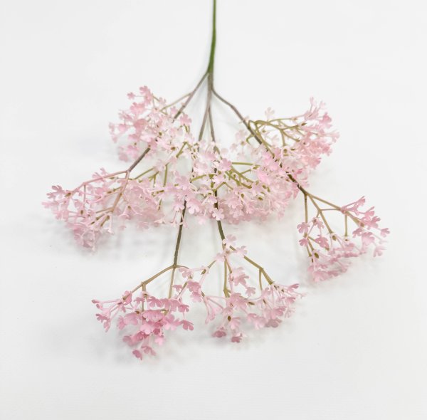 Гипсофила "Изящная" нежно-розовая