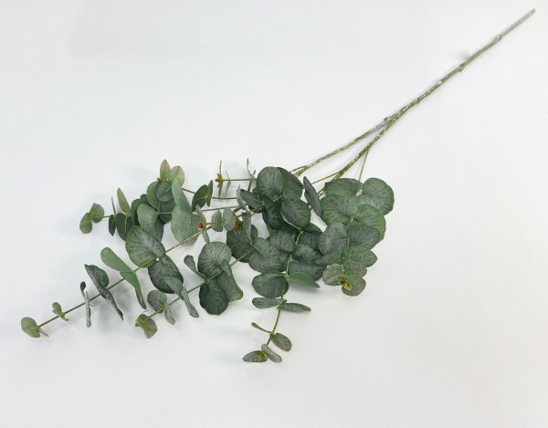 картинка Эвкалипт "Винтаж" от магазина KALINA