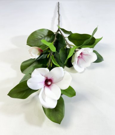 Ветка магнолии с розовым цветком