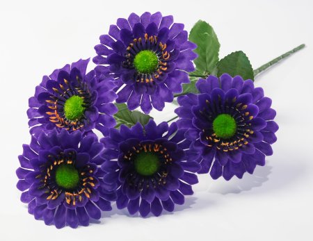 Букет ромашек "Паприка" 5 цветков