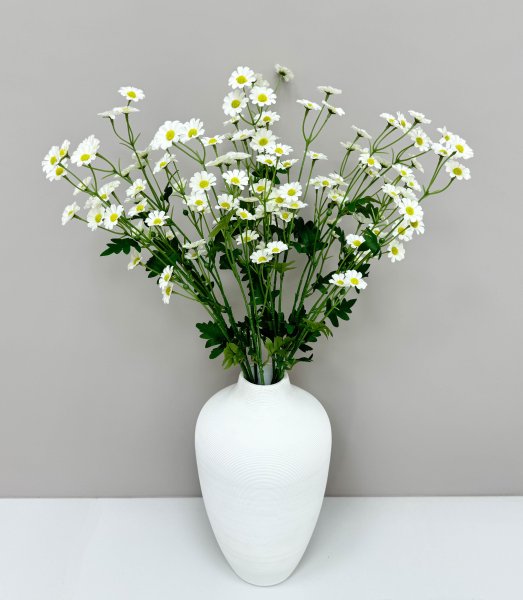 Ромашка "Аптечная" 