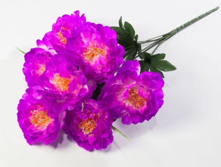 Пион "Натула" 7 цветков