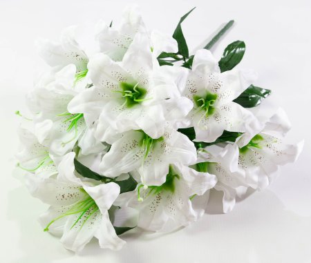 Лилия "Медовая луна" 12 цветков