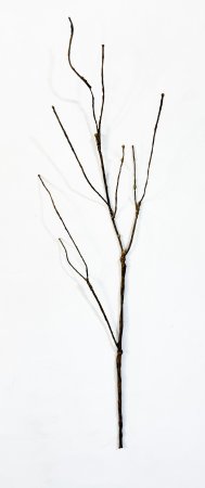 Ветка коричневая малая