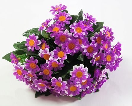 Ромашка садилка. 5 цветков. от магазина KALINA являющийся официальным дистрибьютором в России 