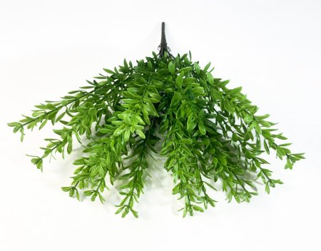 картинка Портулак от магазина KALINA